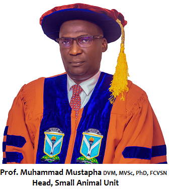 Prof. Muhammad Mustapha Phd