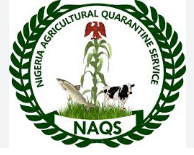 nsqr logo