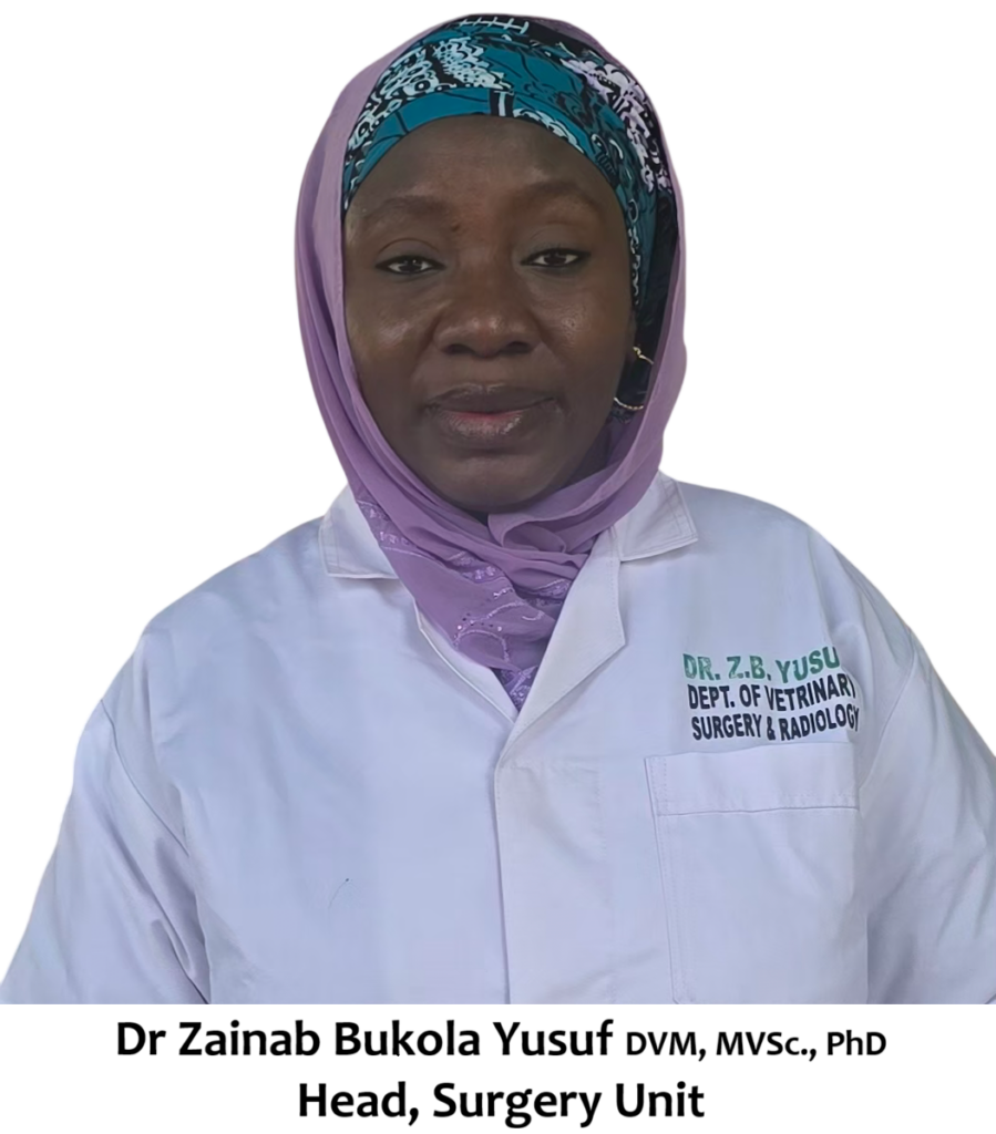 Dr Zainab Bukola Yusuf