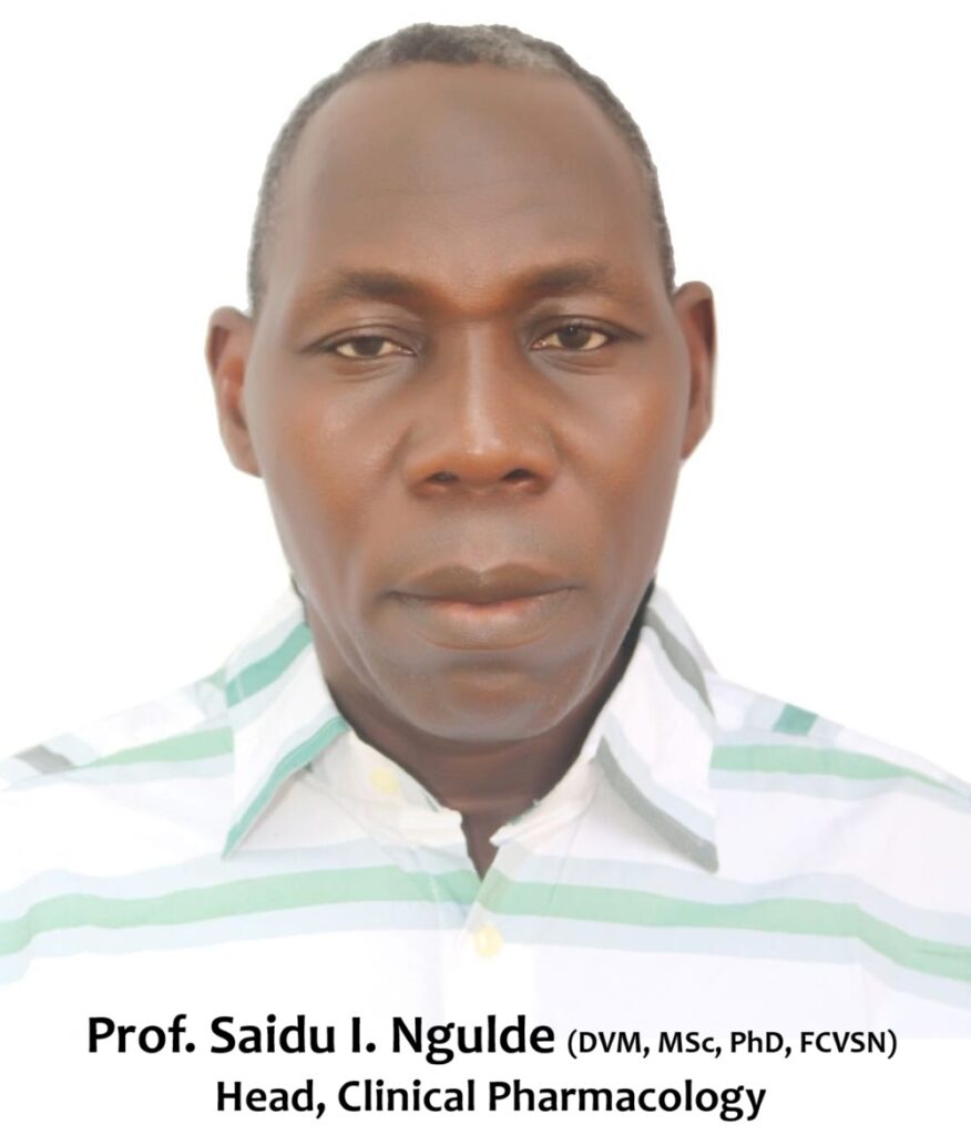 Prof Saidu